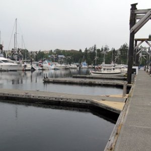 Friday Harbor docks on Sunday morning