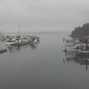 A foggy morning at Friday Harbor