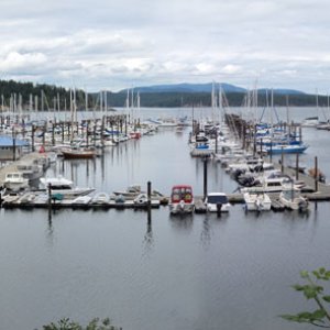 marina view at Friday Harbor