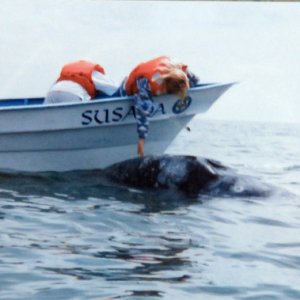Media 'JoanWhale' in album 'Corsair trimaran, BC (Before C-Dory), at our Texas home on the canal'