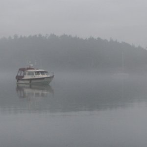 Daydream in the fog