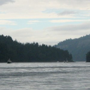 Dodd Narrows