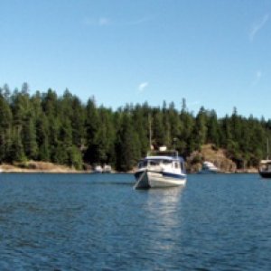 Pan in Squirrell Cove
