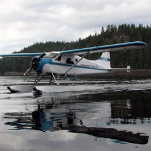 Morning arrival