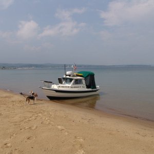 Media '12' in album '1'