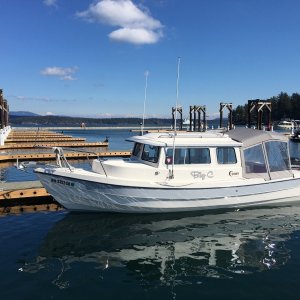 Updated H and G docks at Friday Harbor, with new power and new cleats