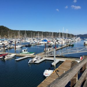 Media 'A quiet Friday Harbor in early March' in album 'Crossing a glassy Rosario Strait'