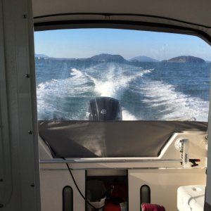 Media 'Cruising back after a fuel stop at Cap Sante, $3.39 / gal' in album 'Crossing a glassy Rosario Strait'
