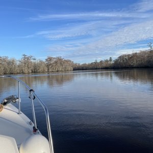 My backyard - Tchefuncte River - Fall 2023