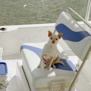 The "Captain" poseing for me.. lol