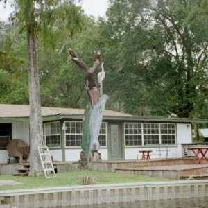 IMG009