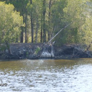 ICW on the way to Bath,NC