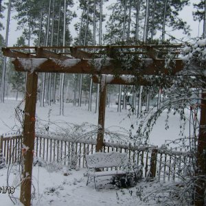 Sleeping Garden