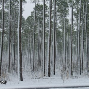 Snow..