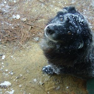 CJ not happy with the snow.