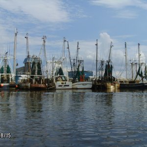 Shrimp boats Oriental NC