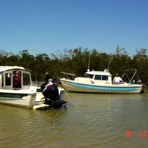 Media 'The Papillon and The Duck' in album 'Capt. Mike.....at the helm.'