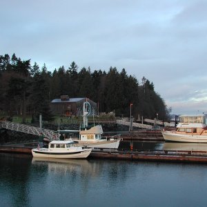 Media '(Doug / Liberty Call) Blake Island solitude' in album '(Doug / Liberty Call) New, smaller C-Dory graphic'