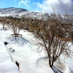 Snowy UAE 350