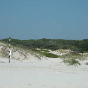 Sand Dunes on Cumberland