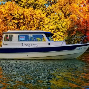 Media 'Dragonfly' in album '2015 Venture trailer model VATB07225'
