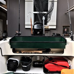 fish cutting station