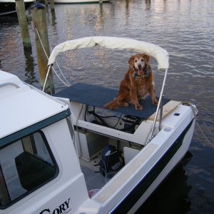 Stella left on boat