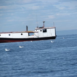 seemed like these boats were pulling fish traps or pots. They had about five foot sticks with little red flags marking the pots or traps. They sell a lot of whitefish up here mild tasting almost like flounder as far as the taste goes