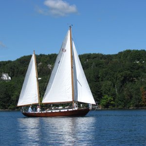 lots of beautiful sailboats