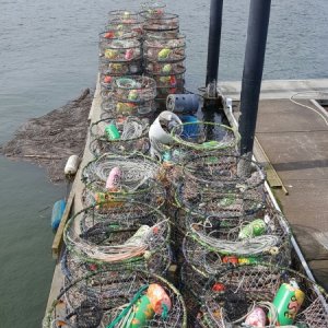 A working dock
