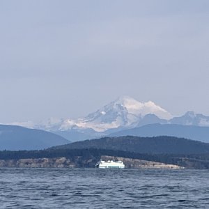 Media 'Washington ferry' in album 'Rosario Marina'