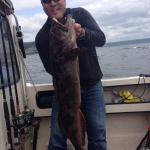 Over sized ling released at possession
