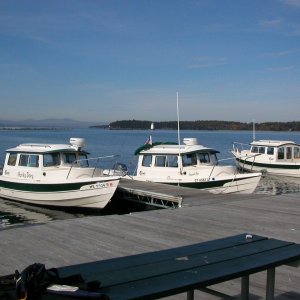 Burlington dockage