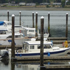 Media 'Lots of space at the visitor dock on a Saturday afternoon in August' in album 'In line at Edmonds launch, next to a Trophy 24.'