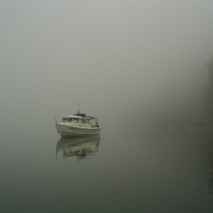 Foggy morning