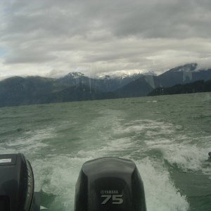 bumpy waters