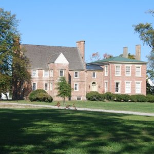 DSC 0010