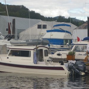 IMGP1780