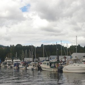 IMGP1784