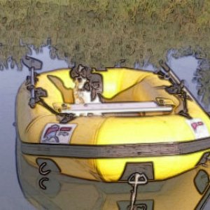 Baxter in Dinghy Priest River Painting