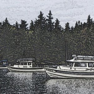 Potts Lagoon Painting