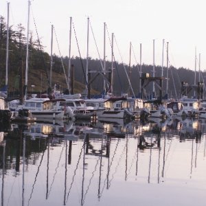 C-Dorys on H Dock Friday Harbor