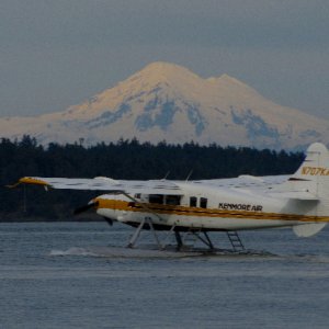 IMG 0442
