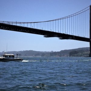 Media 'SleepyC under the Golden Gate Bridge SF Bay 4/2020  091.1SFB.4-19' in album 'SleepyC under the Golden Gate Bridge SF Bay 4/2020  091.1SFB.4-19'