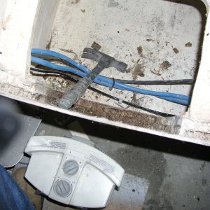 dry rot 1