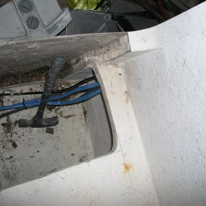 dry rot 5