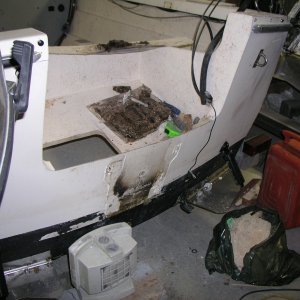 dry rot 6