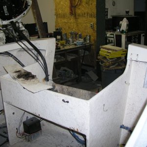 dry rot 7