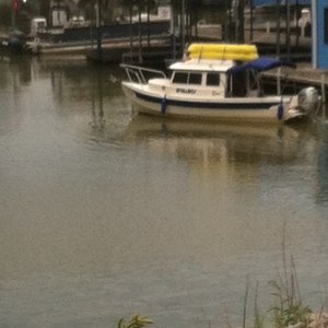 Media '' in album 'Clarksville Marina'