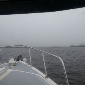 Fog.